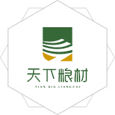 骚逼被操网战